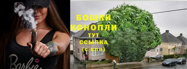 спиды Горно-Алтайск
