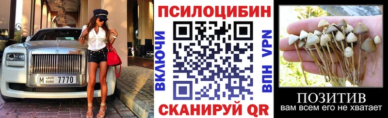 Псилоцибиновые грибы Psilocybine cubensis  Купить  Приморск 